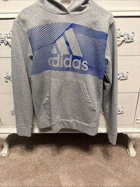 adidas Light Gray Hoodie with Blue Graphic Logo